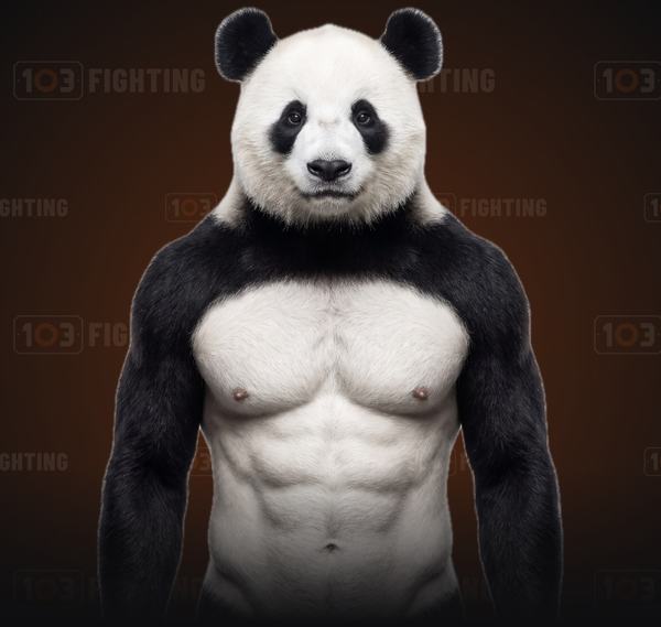 Beanbag, the panda