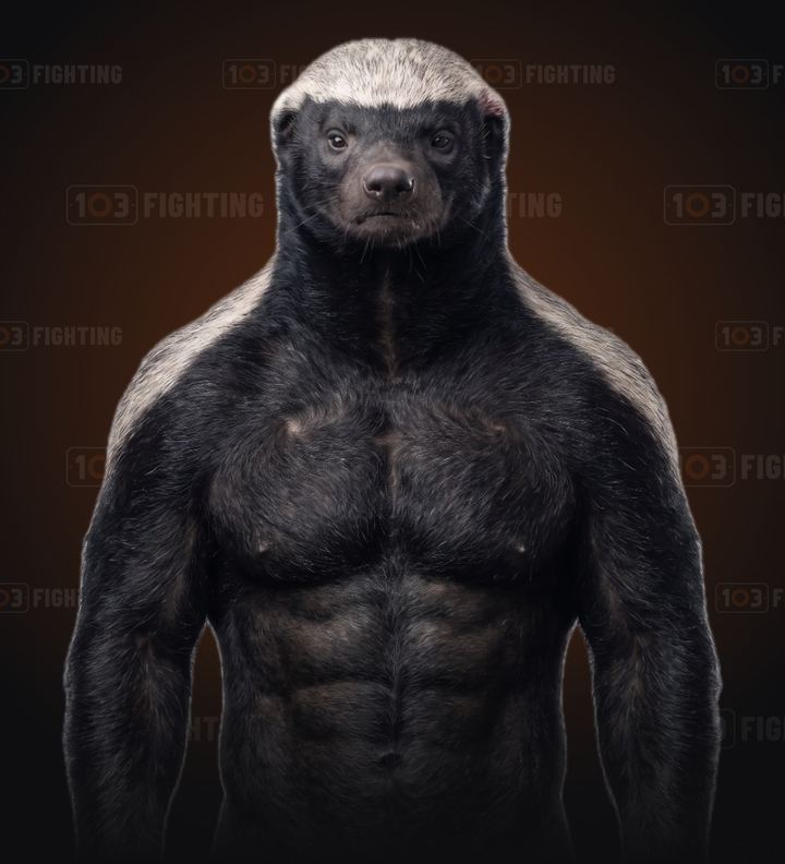 Cruetz, the honey badger