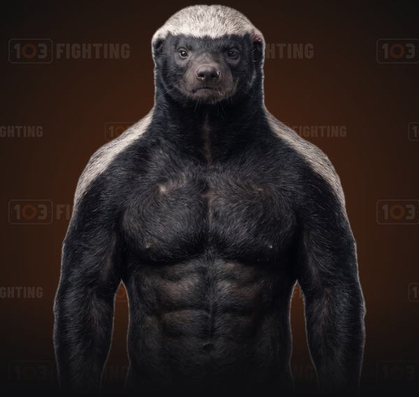 Cruetz, the honey badger