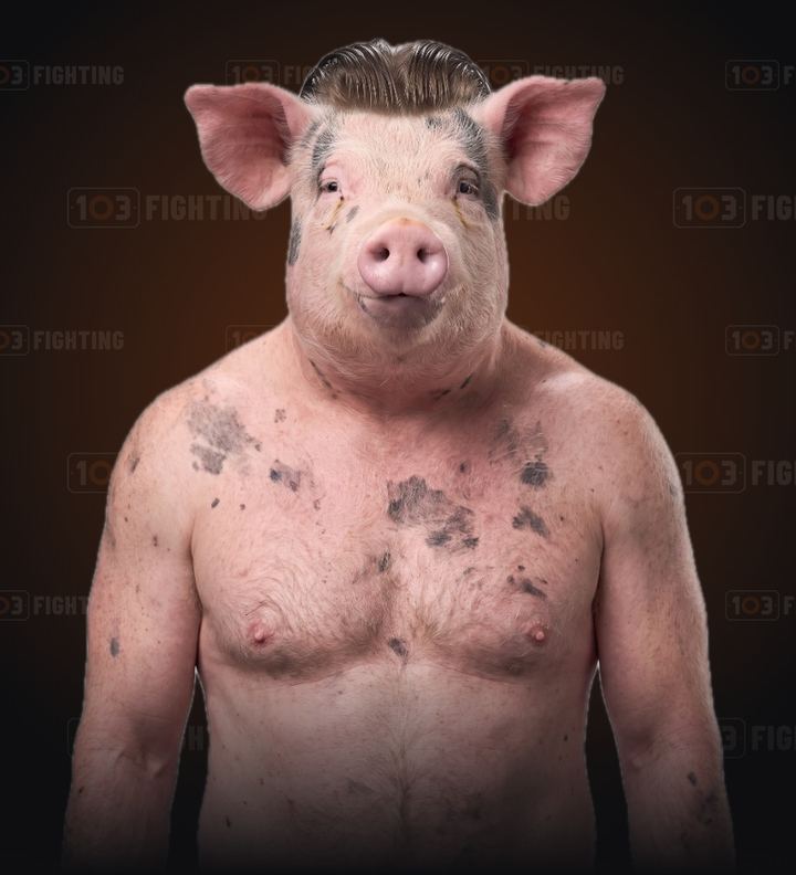 Jean Claude, the pig