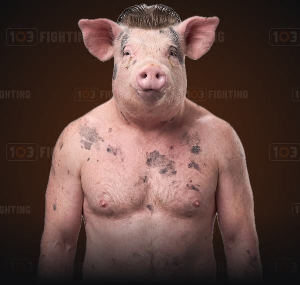 Jean Claude, the pig