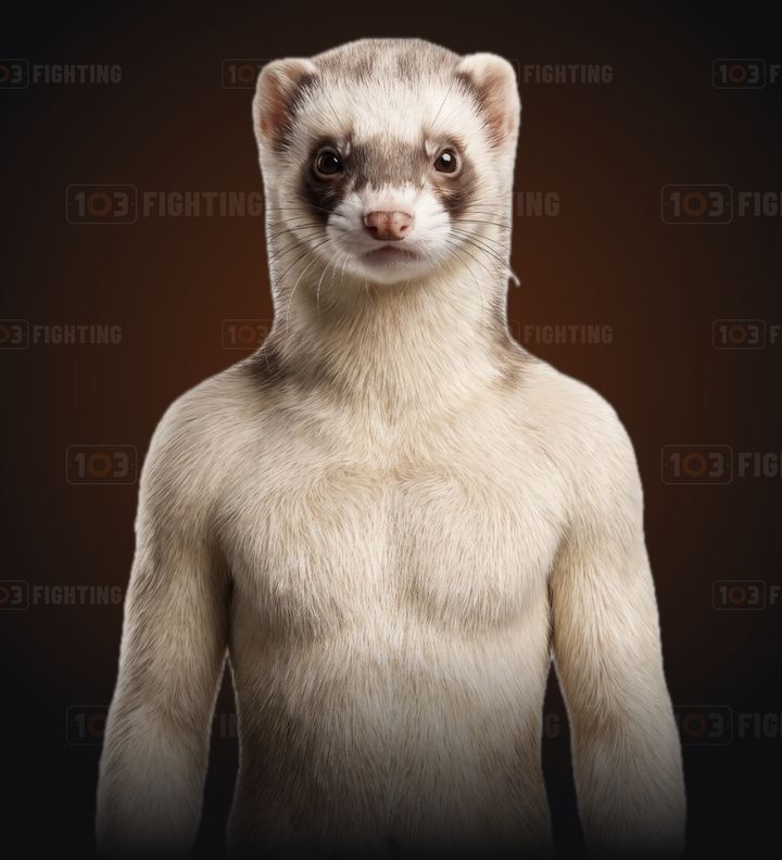 Kurre, the ferret