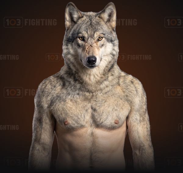 Luis, the wolf