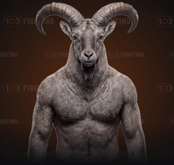 Magomed, the Caucasian tur