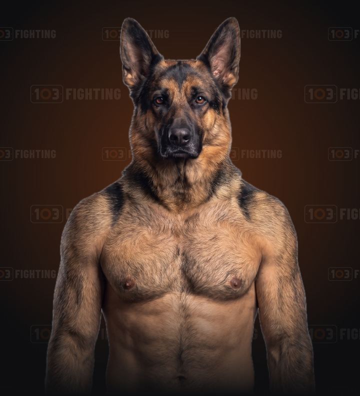 Max, the German shepherd
