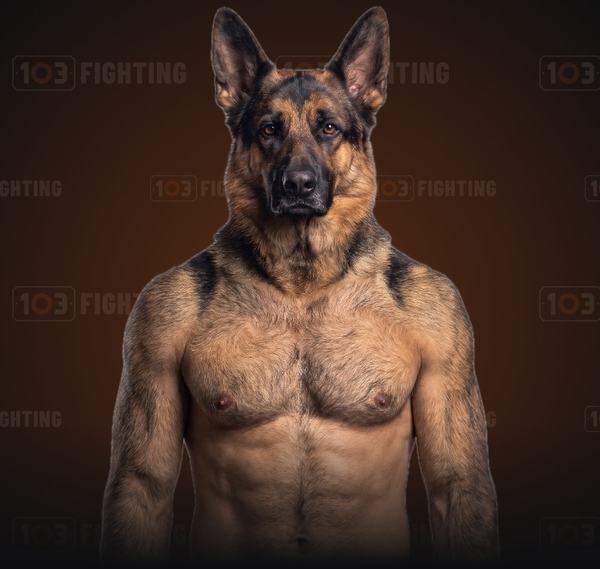 Max, the German shepherd