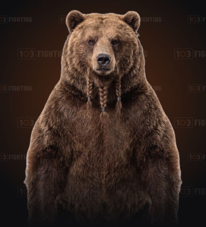 Northman, the brown bear