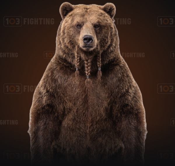 Northman, the brown bear