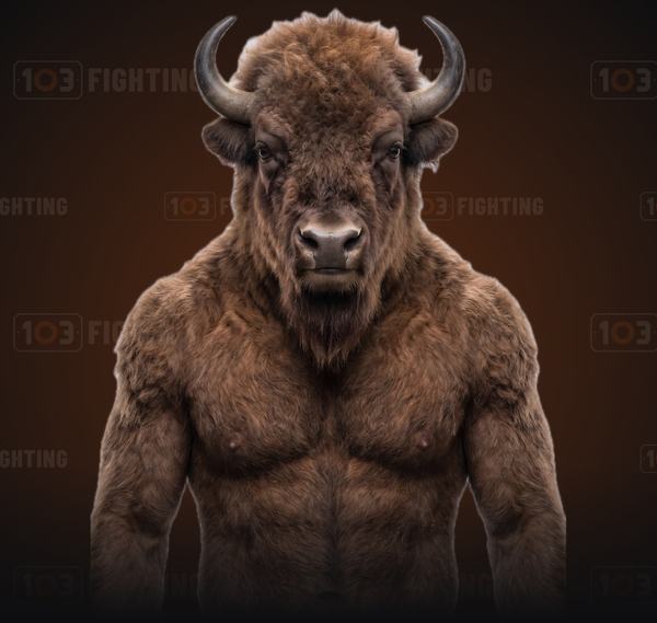 Pitor, the European bison