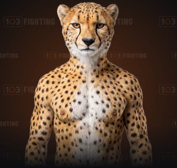 Santi, the cheetah