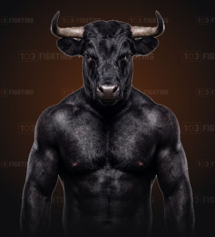 The Steak, the bull