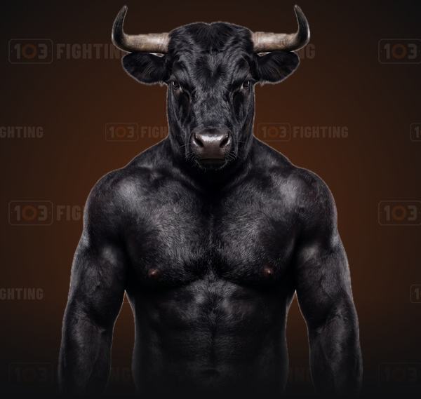 The Steak, the bull